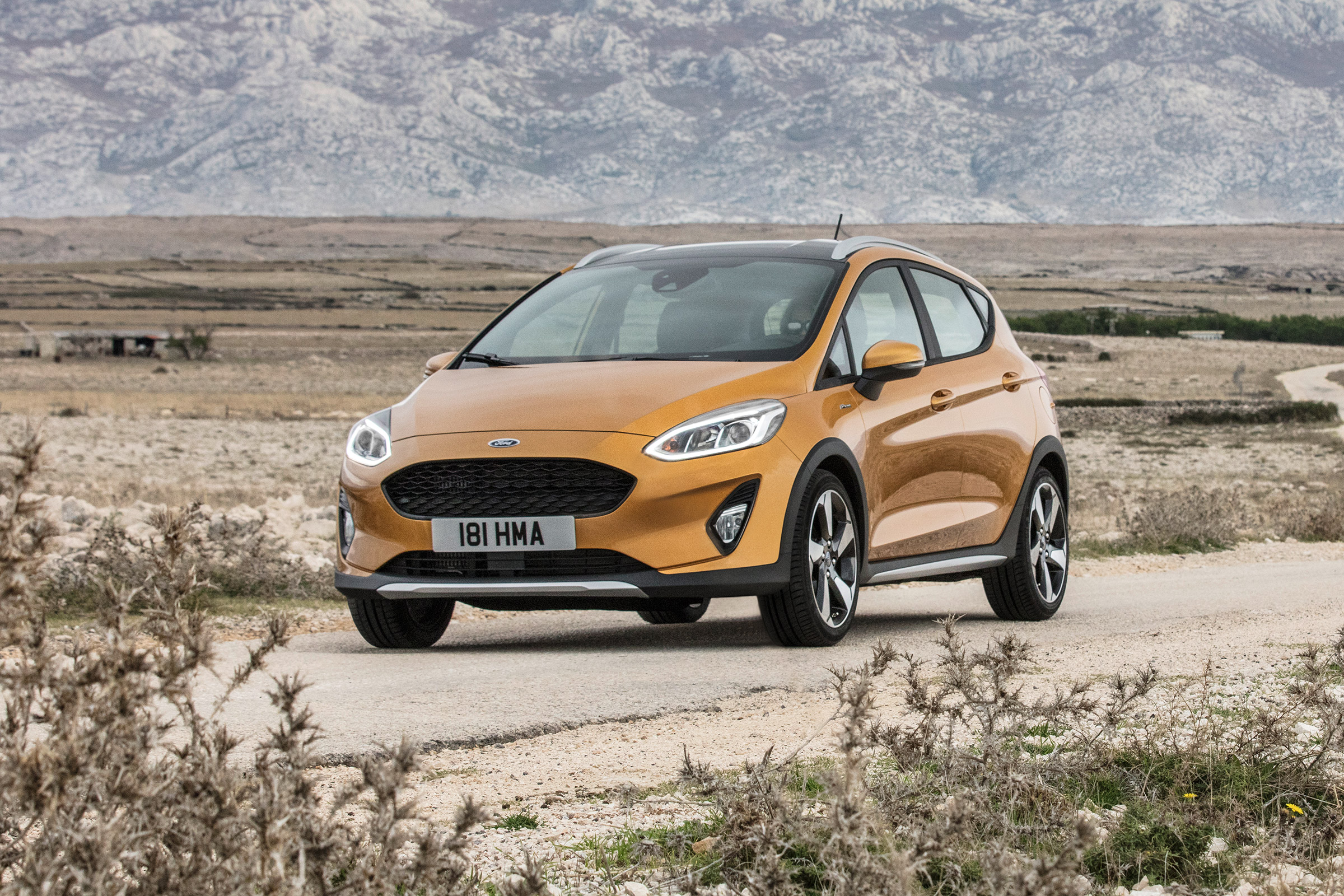 Ford Fiesta Active hatchback