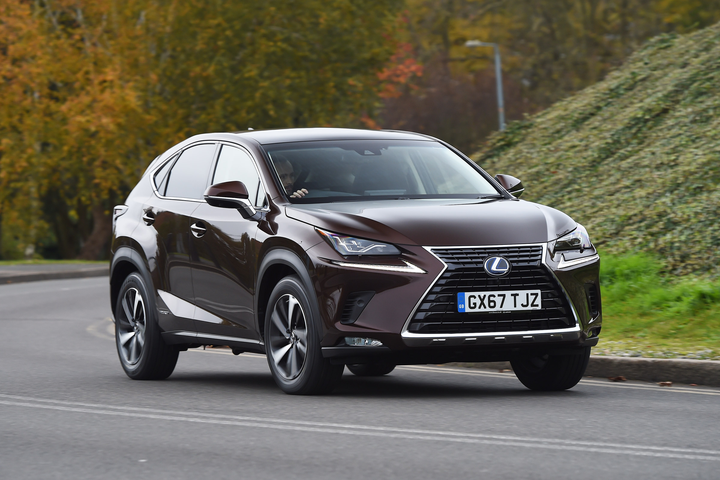 Lexus NX SUV