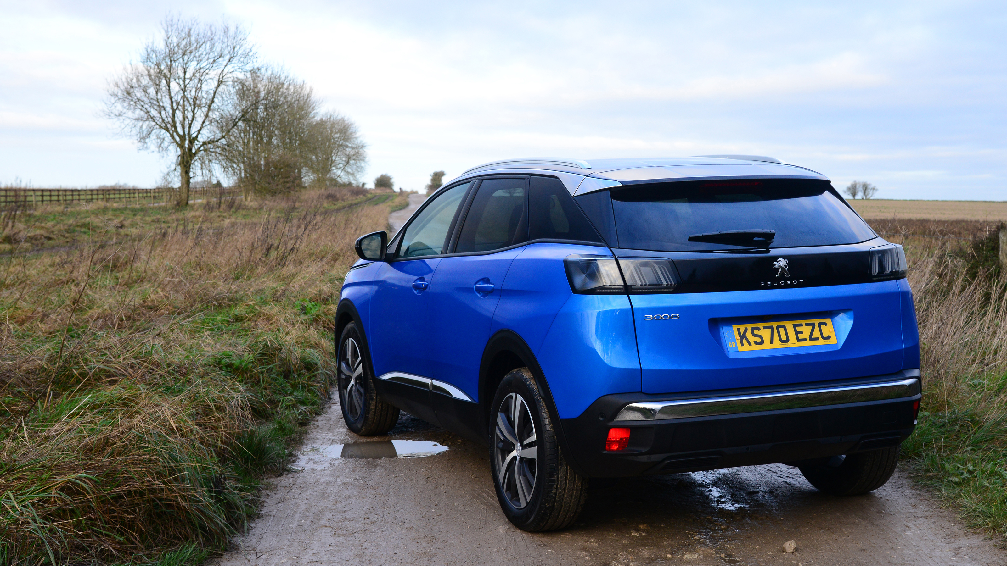 Peugeot 3008 SUV rear static