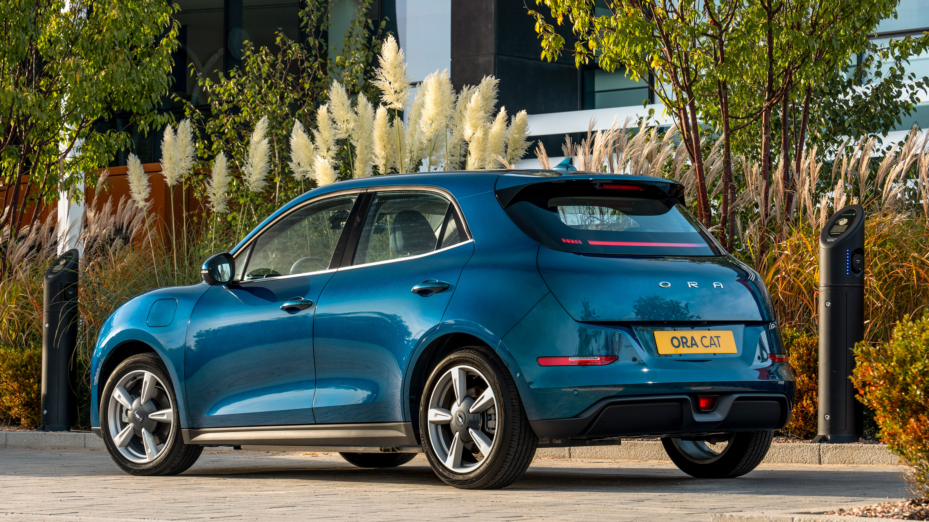 ORA Cat rear