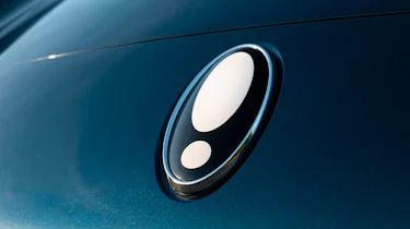 ORA Cat badge