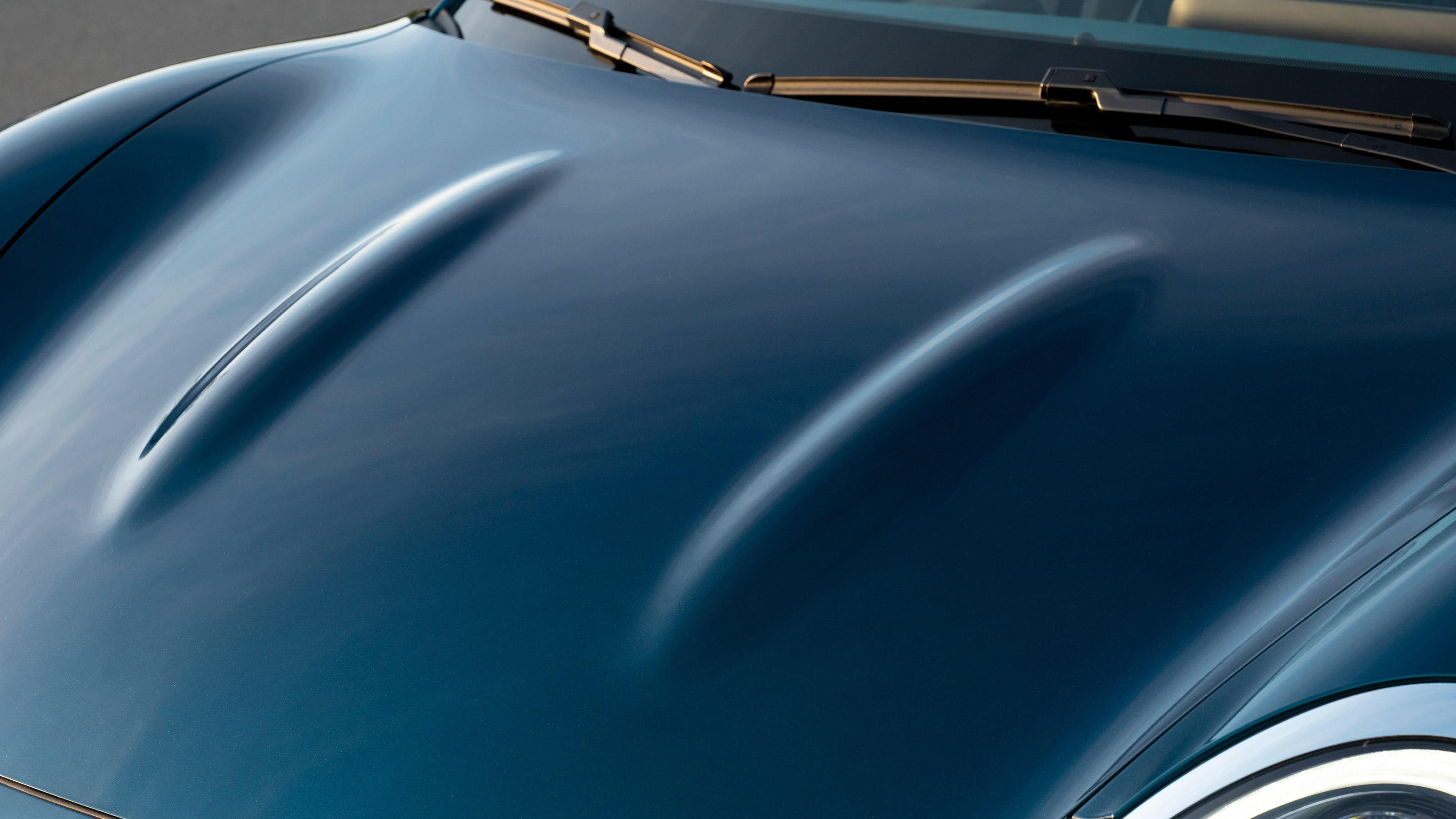 ORA Cat bonnet bulges
