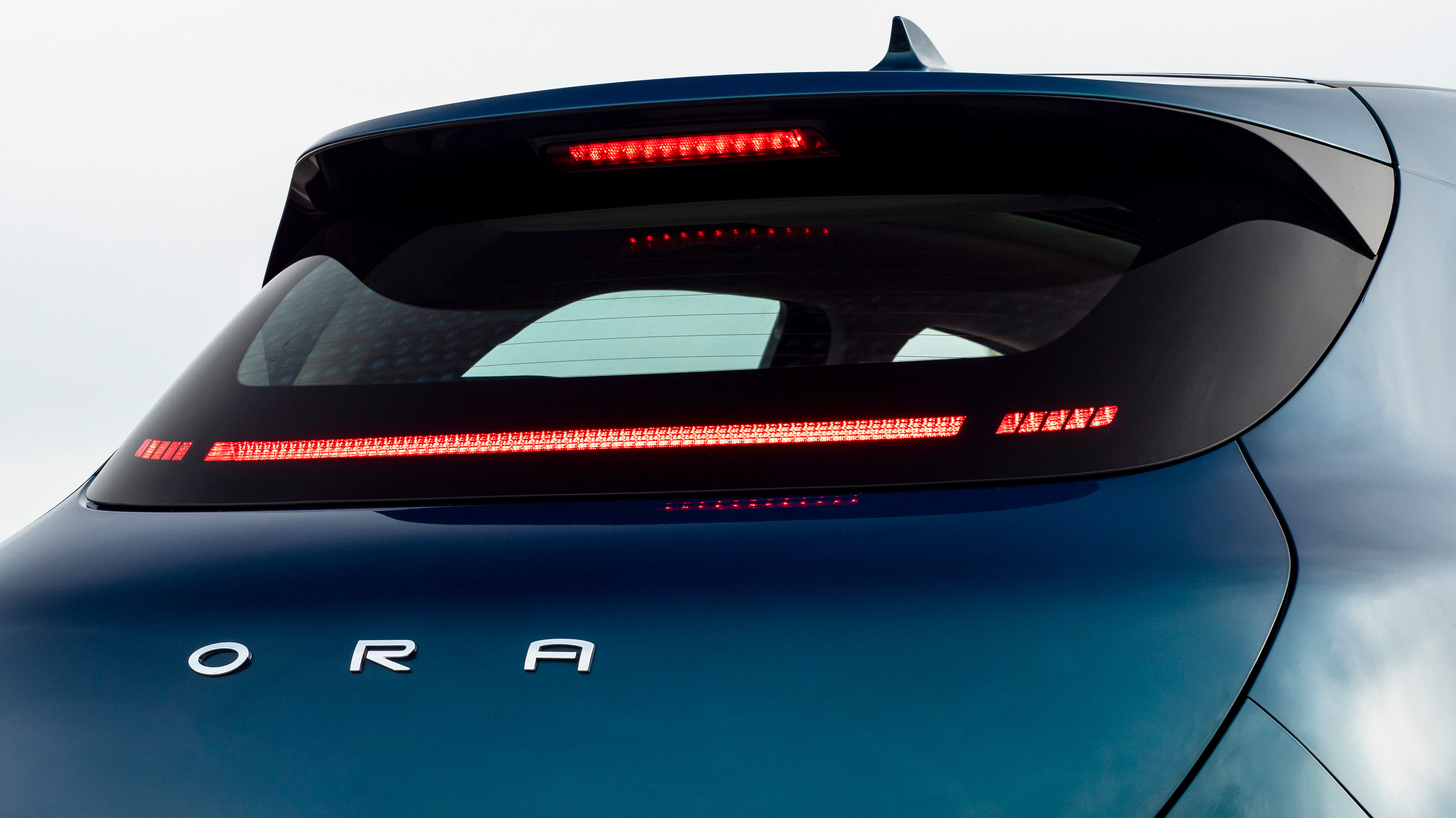 ORA Cat rear end detail