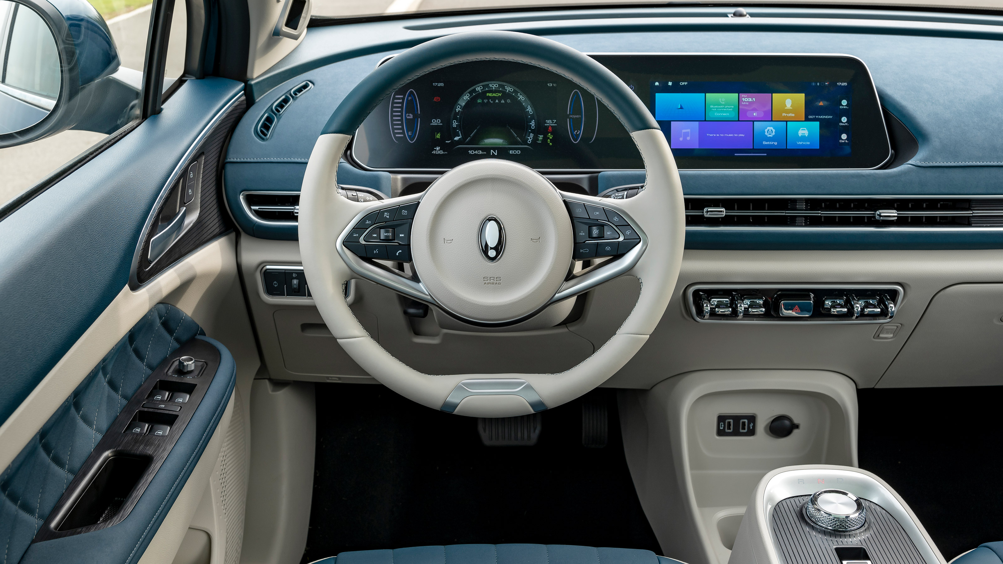 ORA Cat interior