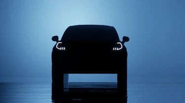 electric puma silhouette