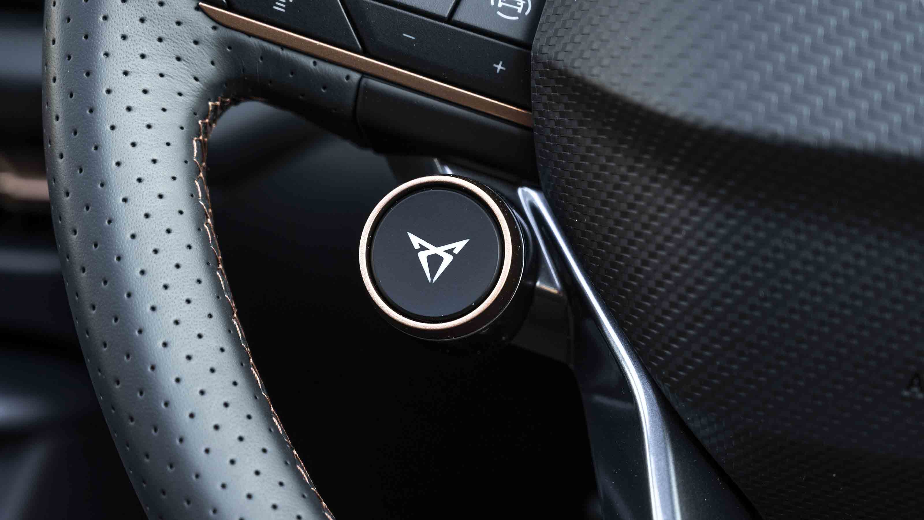 Cupra Terramar Cupra button