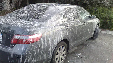 How to remove bird poop from car