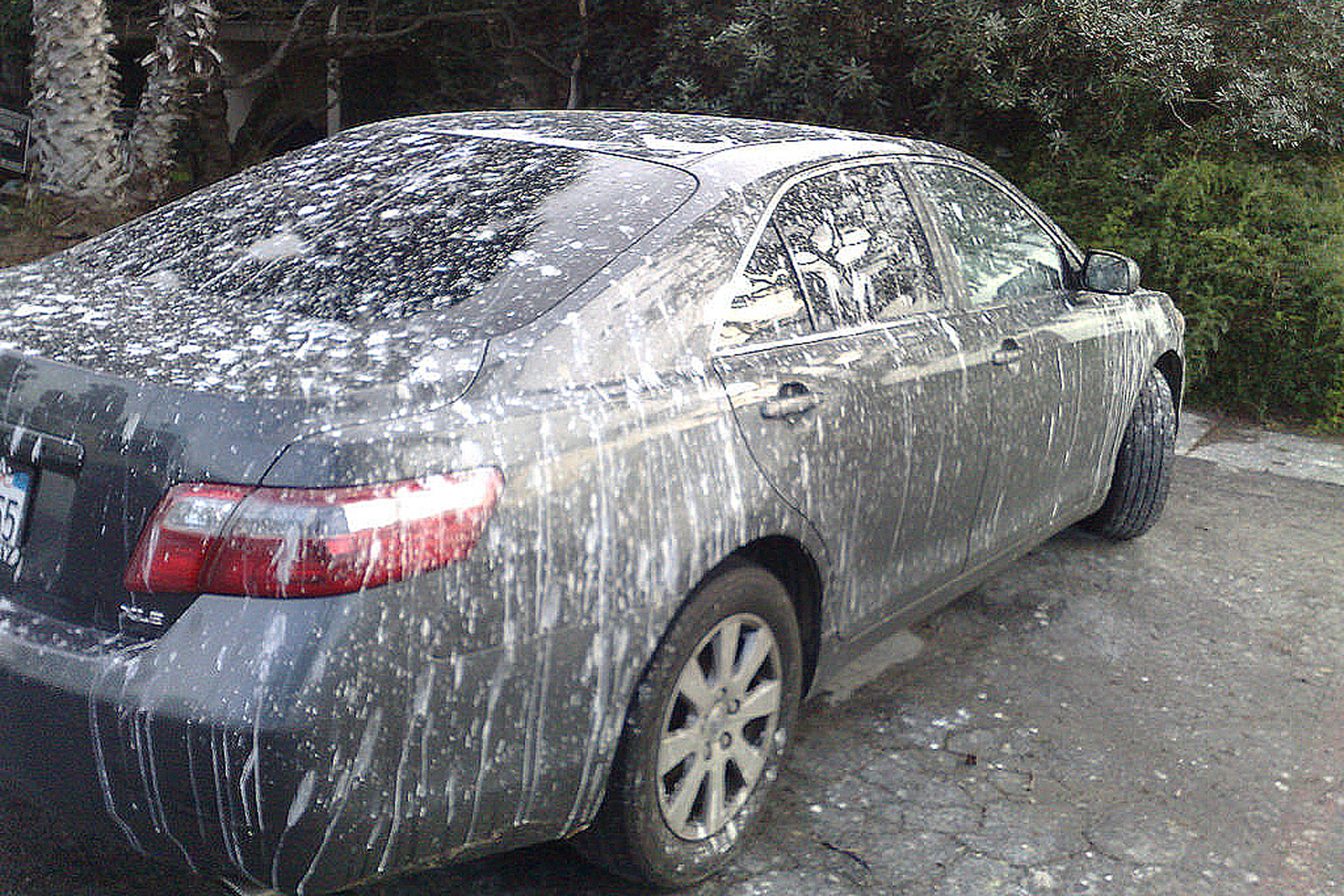 How to remove bird poop from car