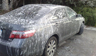 How to remove bird poop from car