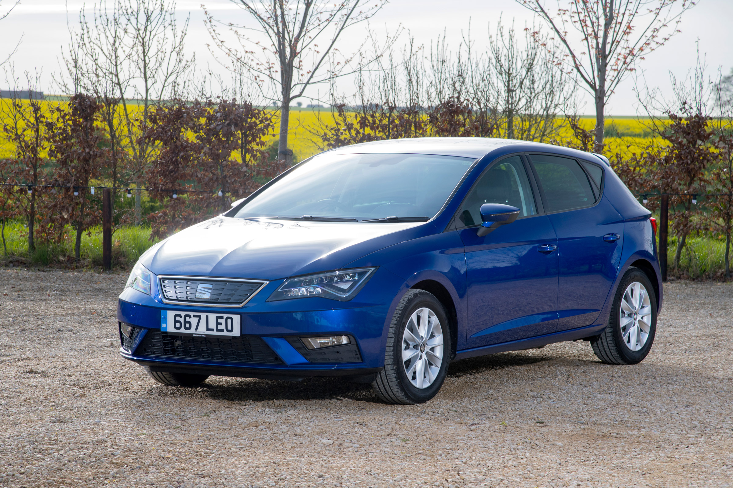 SEAT Leon in blue