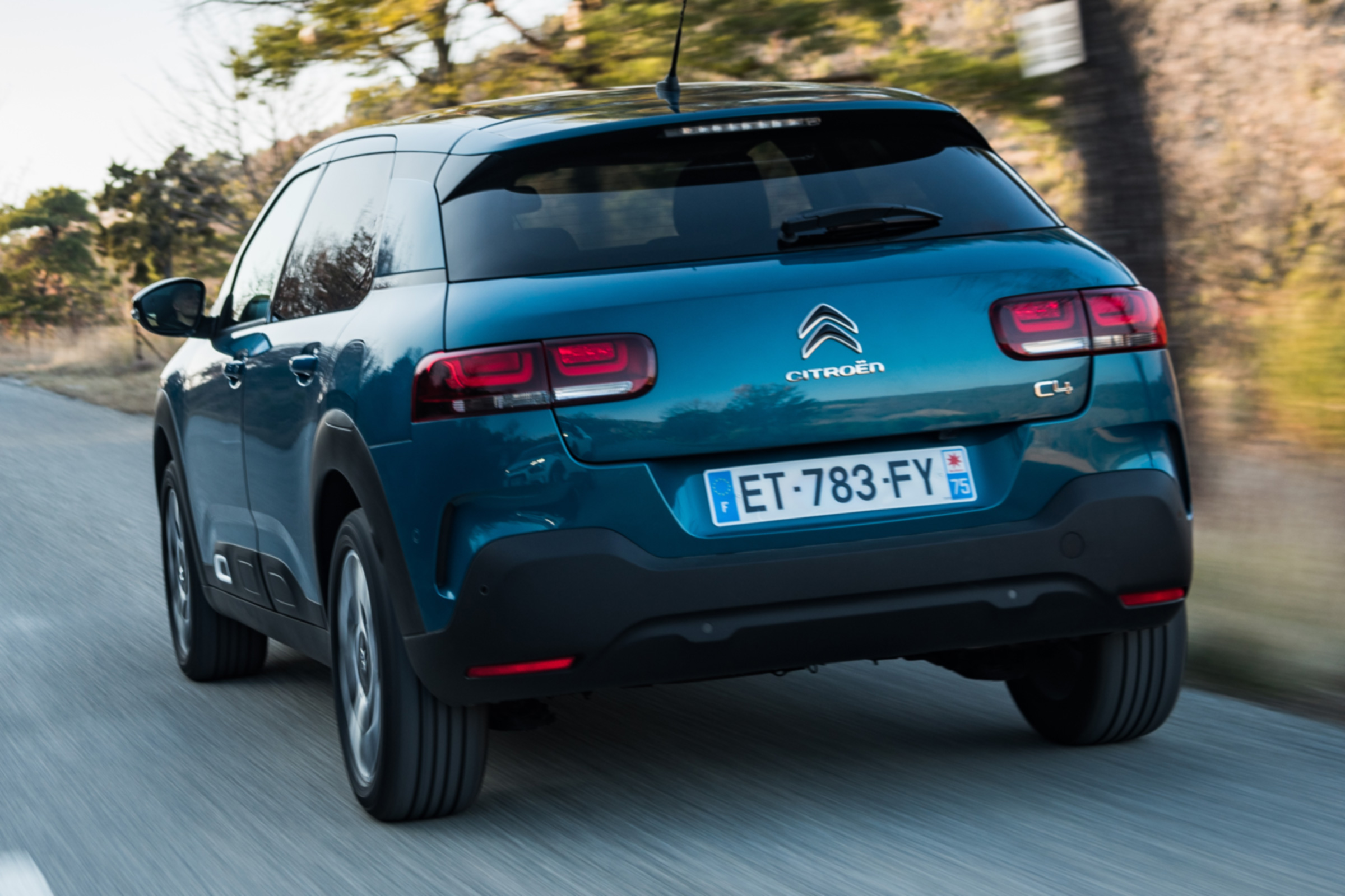 Airbumps made a return to the C4 Cactus, but they're now smaller and more understated
