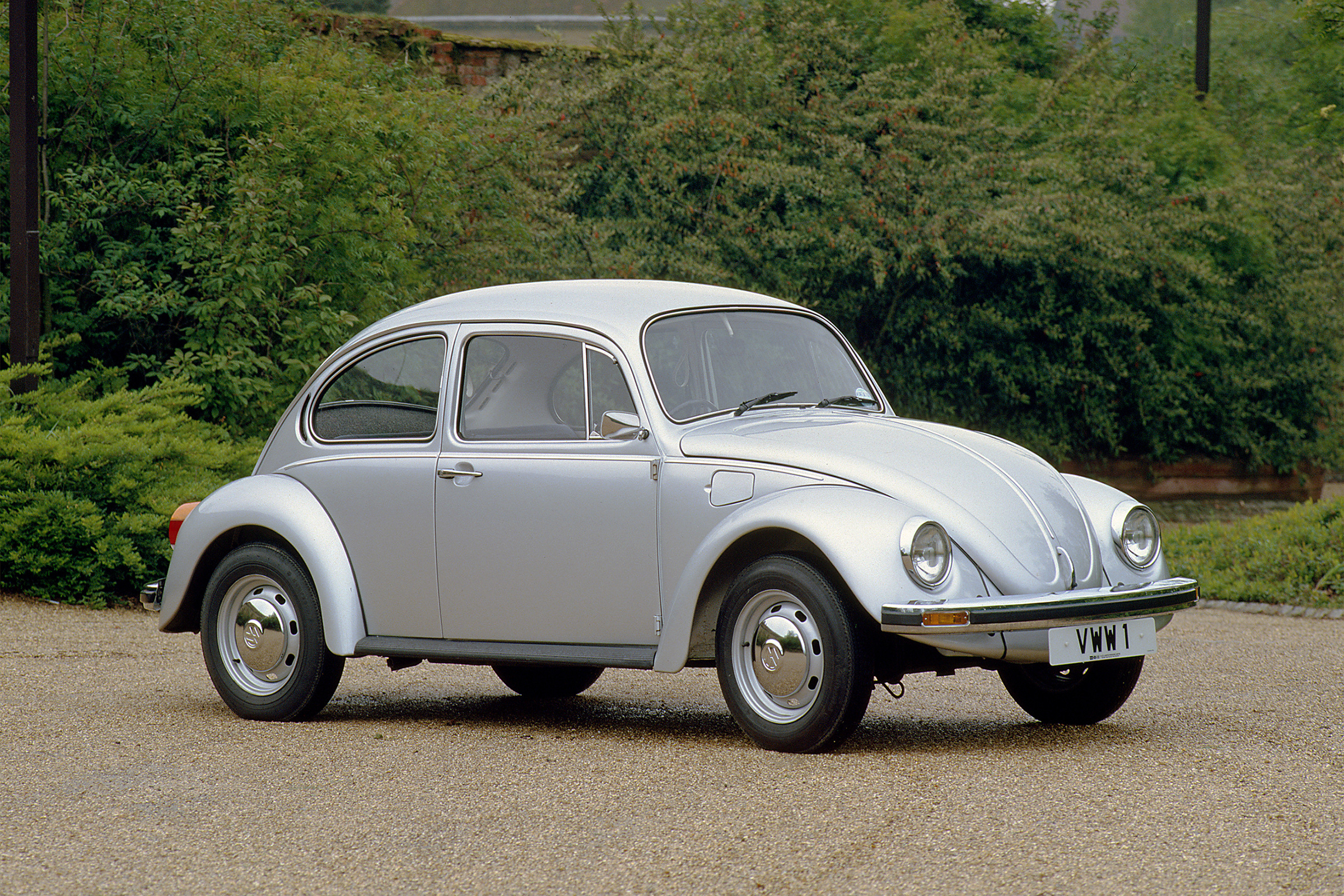beetle used
