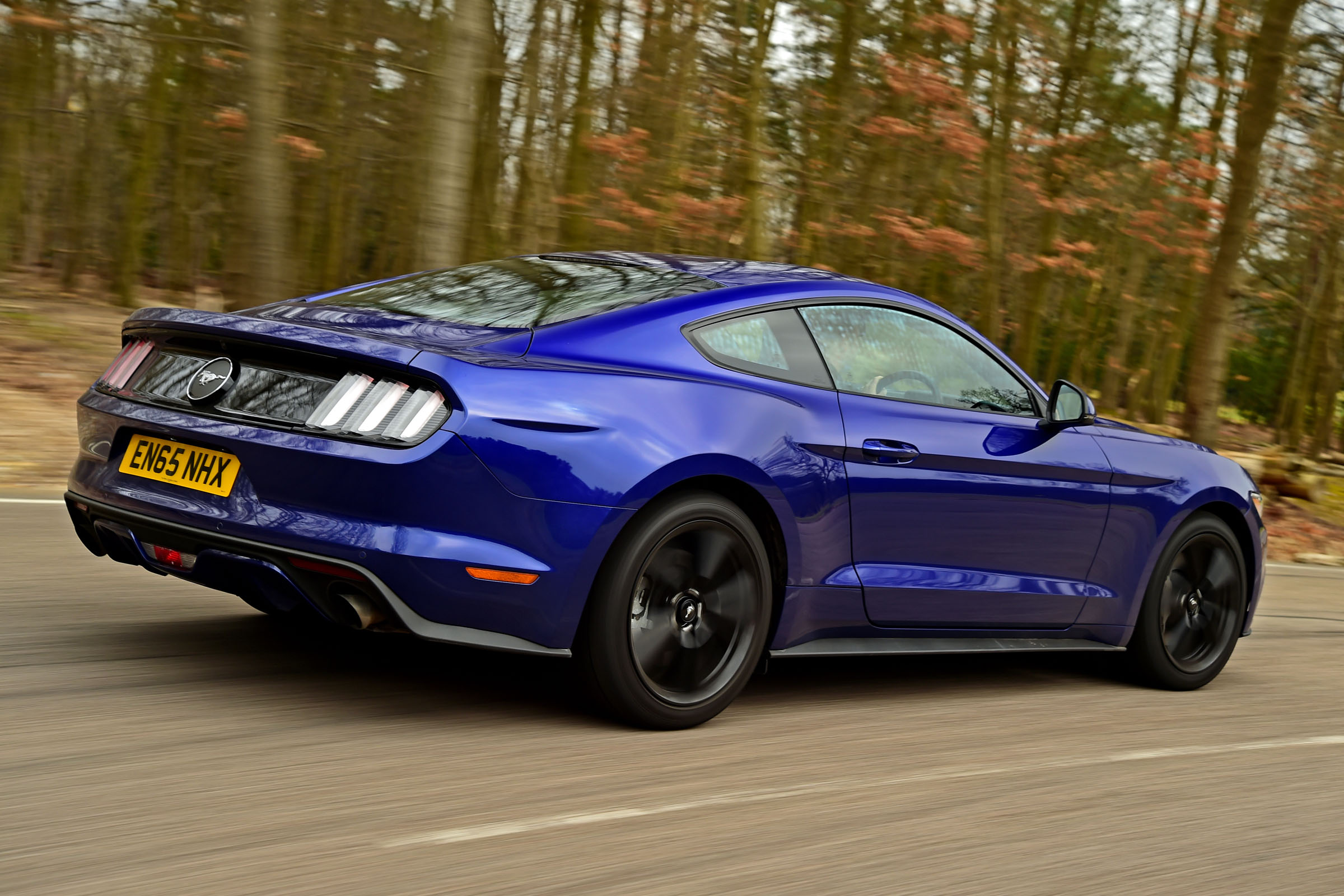 Ford Mustang rear