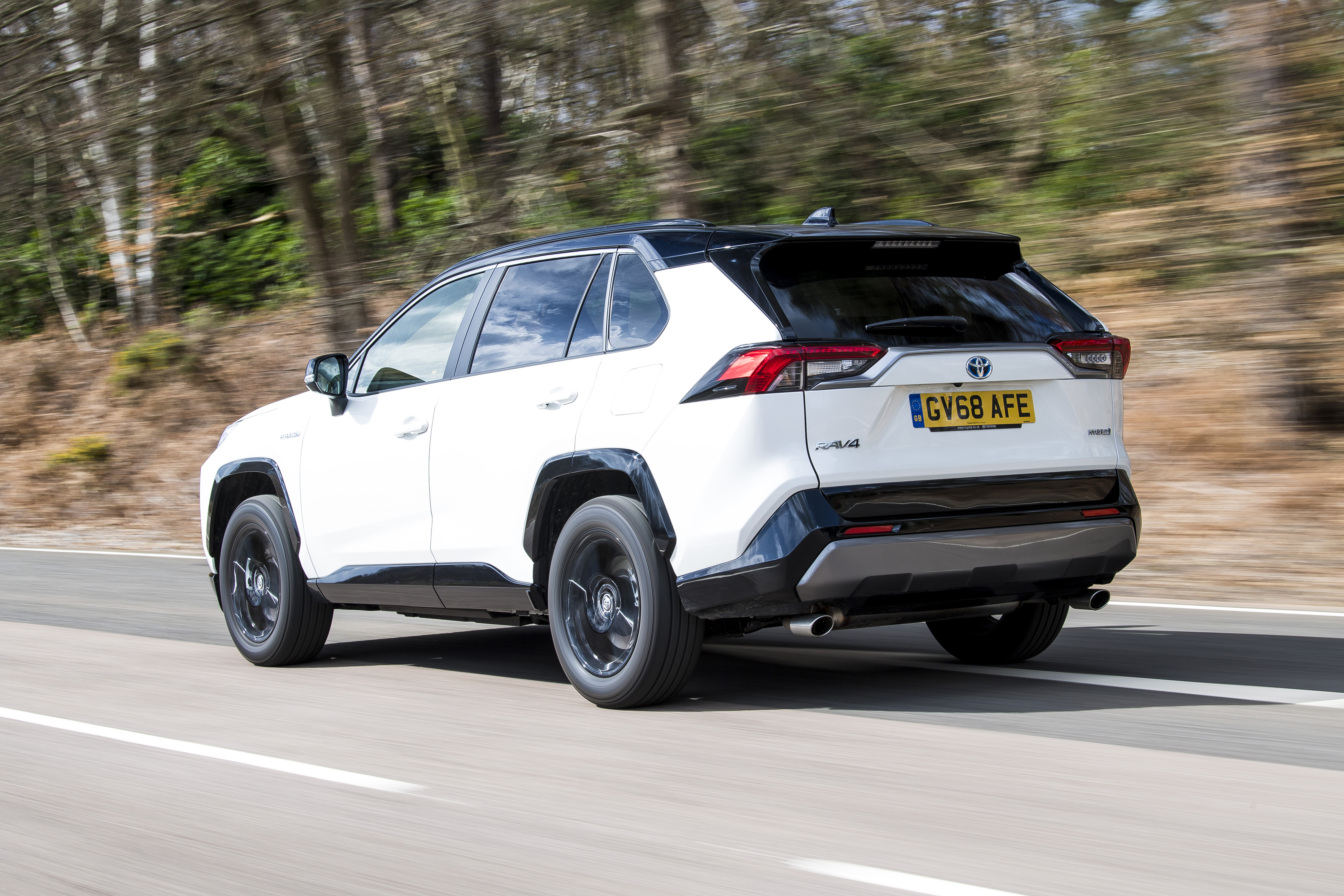 Toyota RAV4 - rear dynamic view