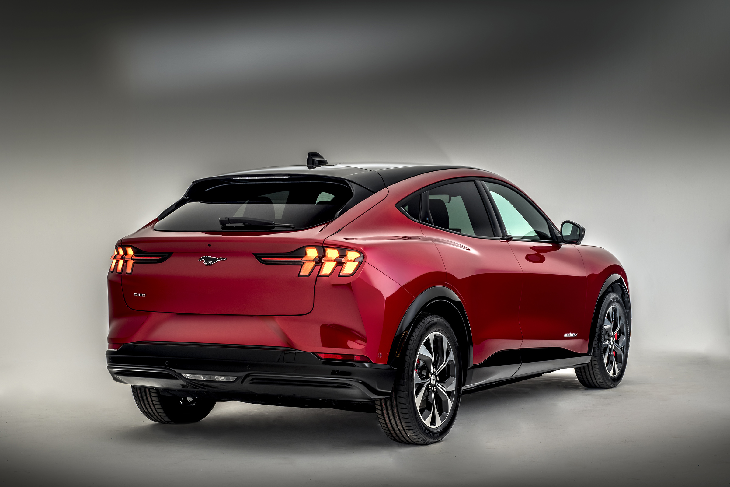 Ford Mustang Mach-E rear view