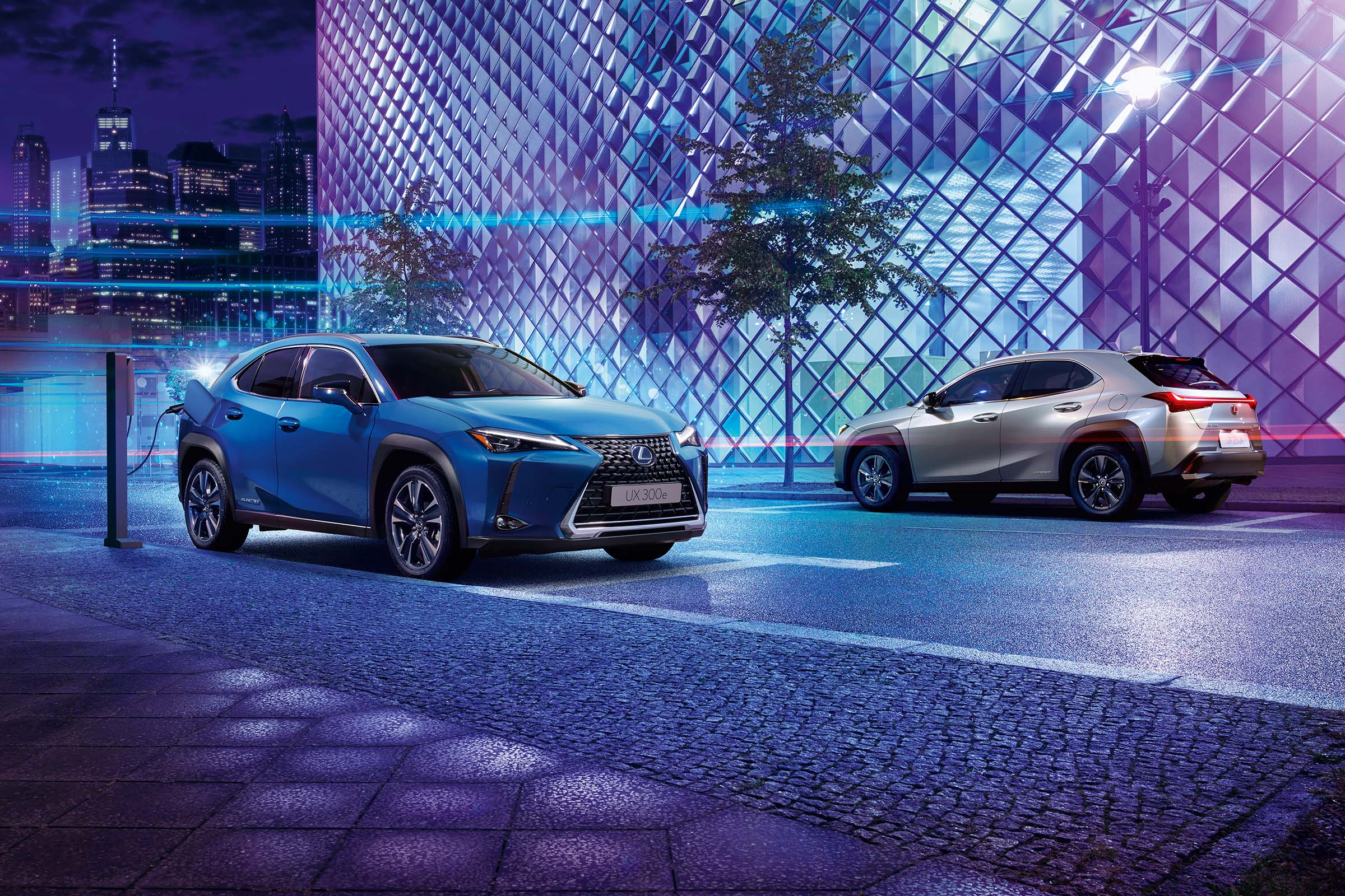 Lexus UX 300e models