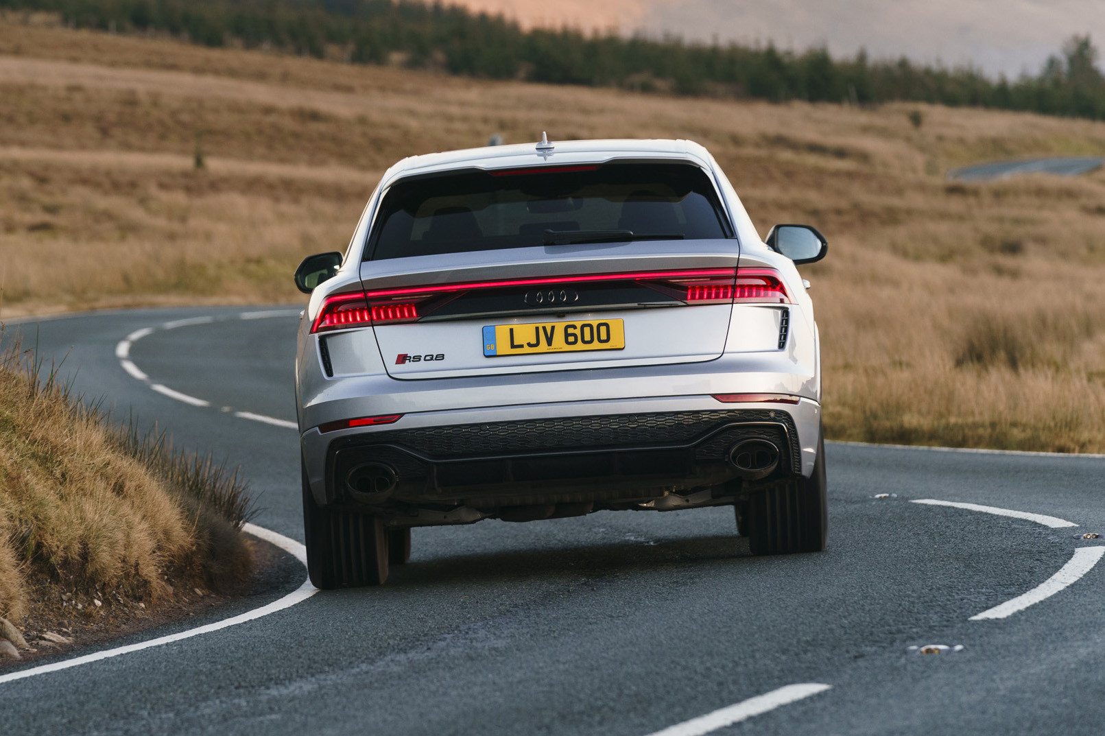 Audi RS Q8 SUV - rear view dynamic 