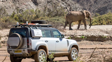 Land Rover Defender SUV elephant safari