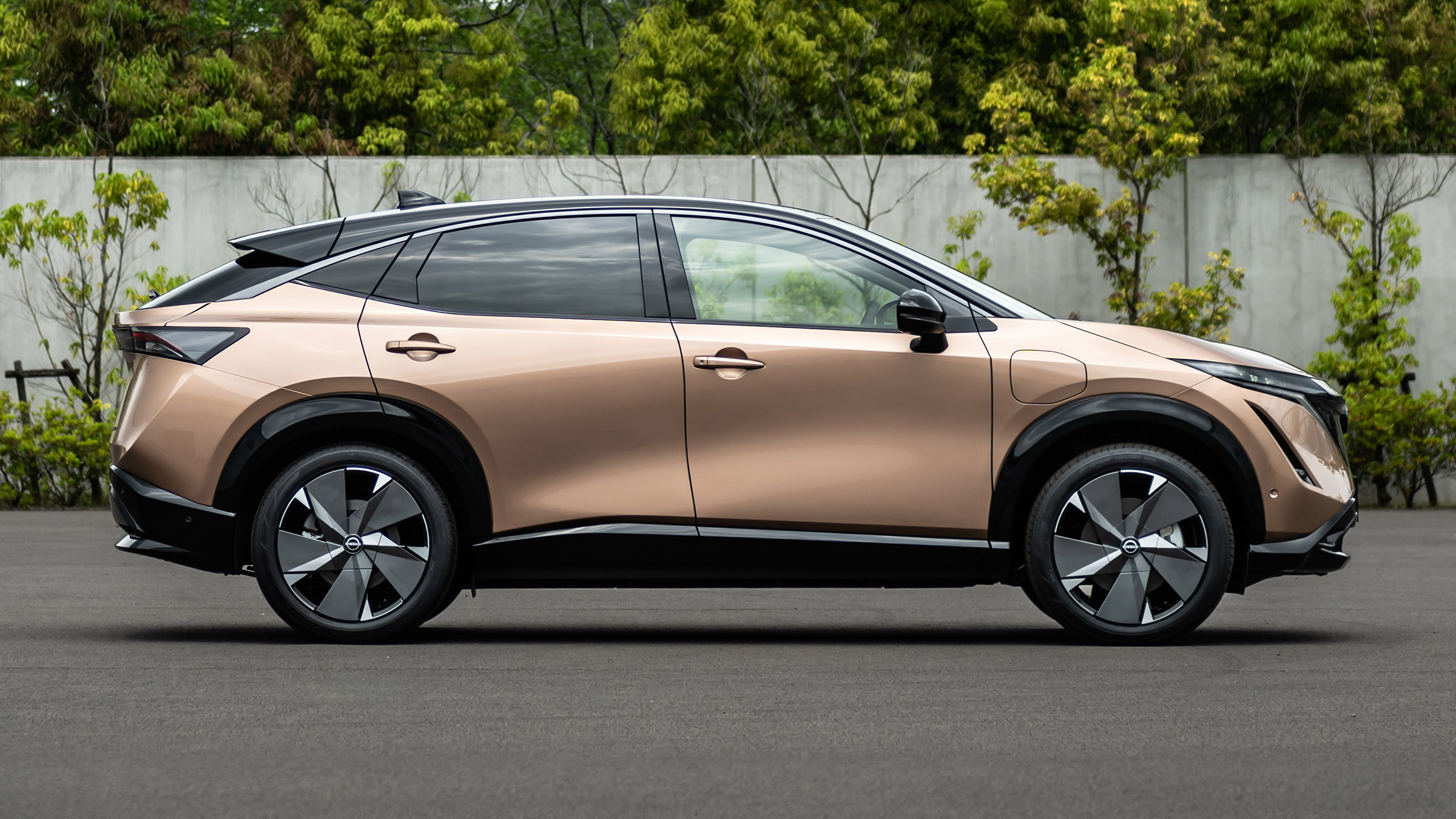 Nissan Ariya side view