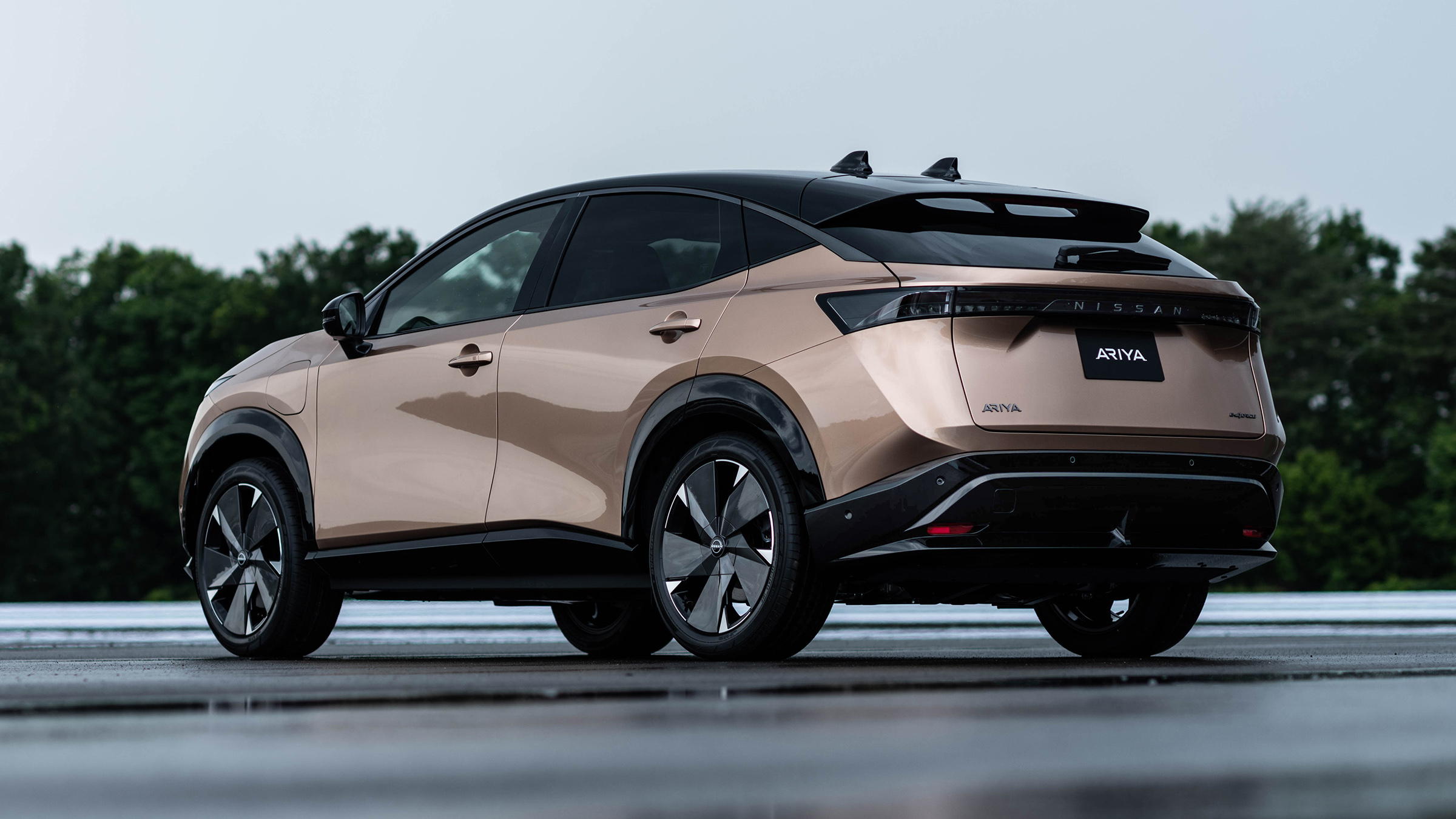 Nissan Ariya rear view low down