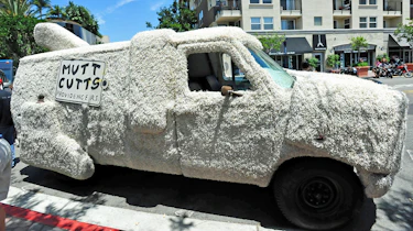 Ford Econoline van – Dumb and Dumber