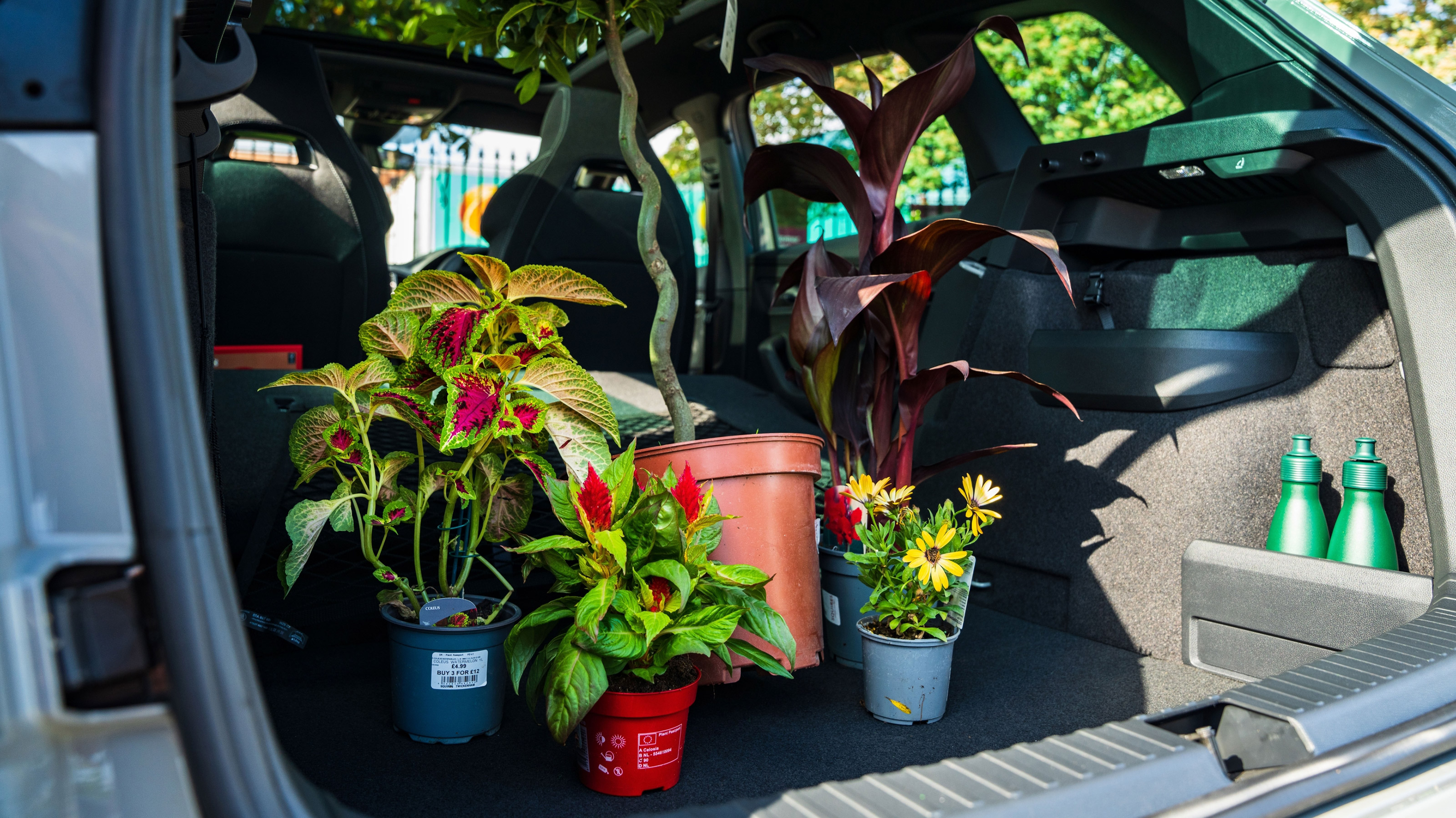 Skoda Karoq SportLine boot plants