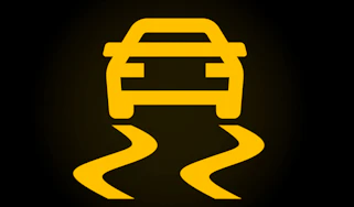 Traction control warning light