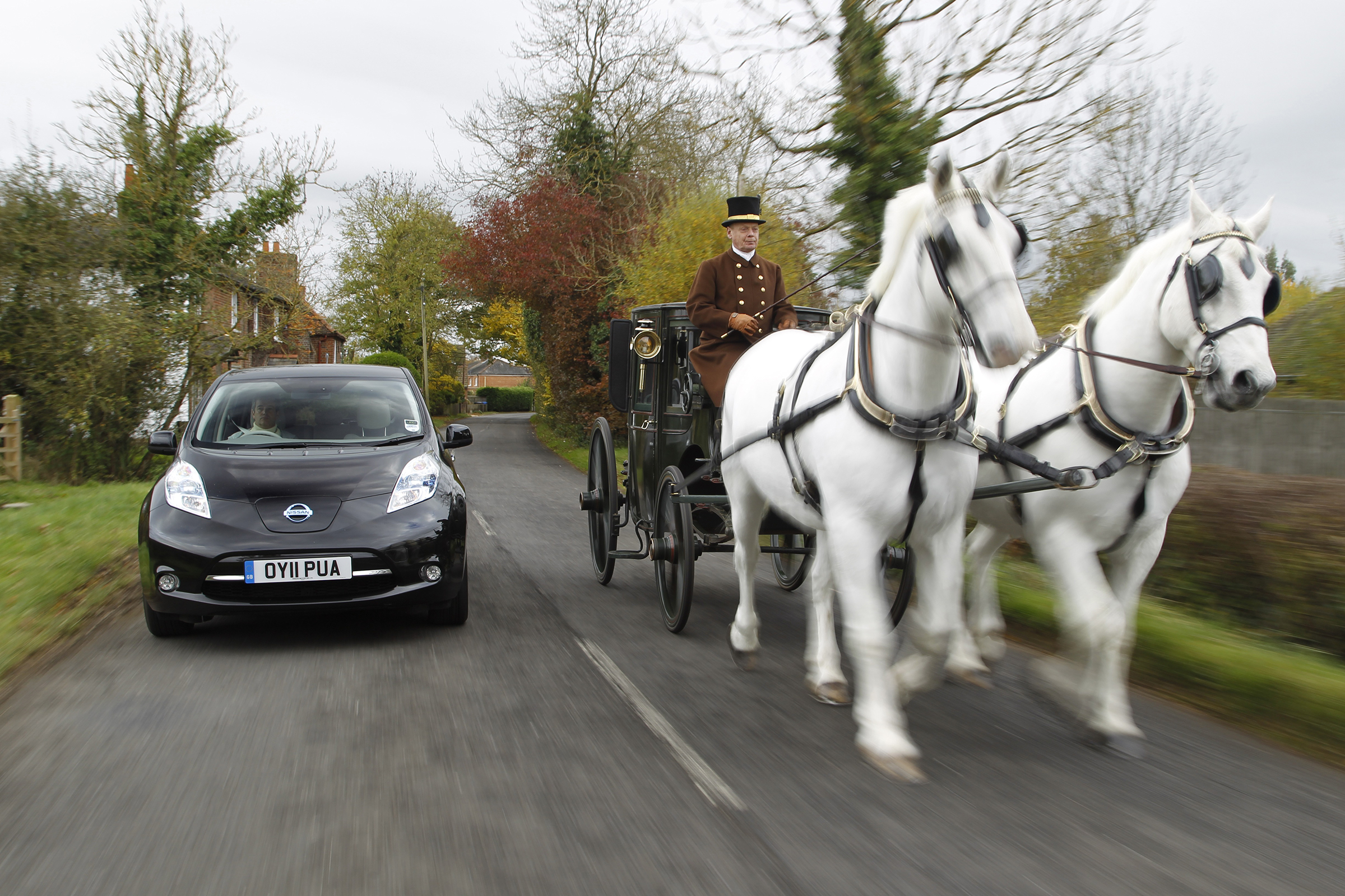 Car and horses together on the road