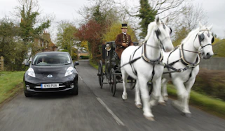 Car and horses together on the road