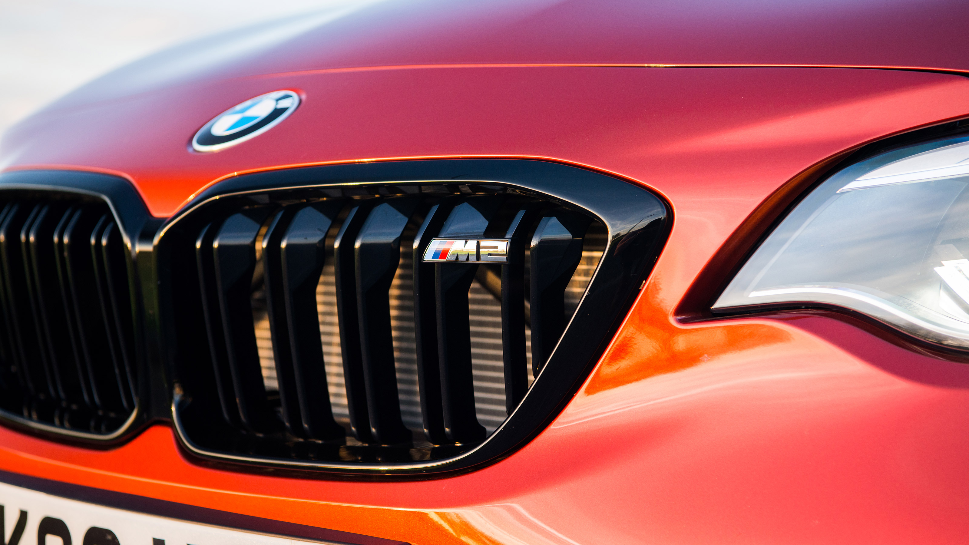 BMW M2 grille